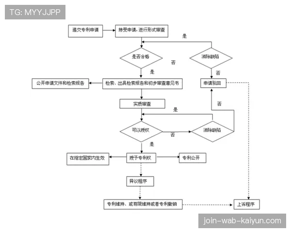 球场无障碍观众票务优先权申请与审核流程,篮球场无障碍区