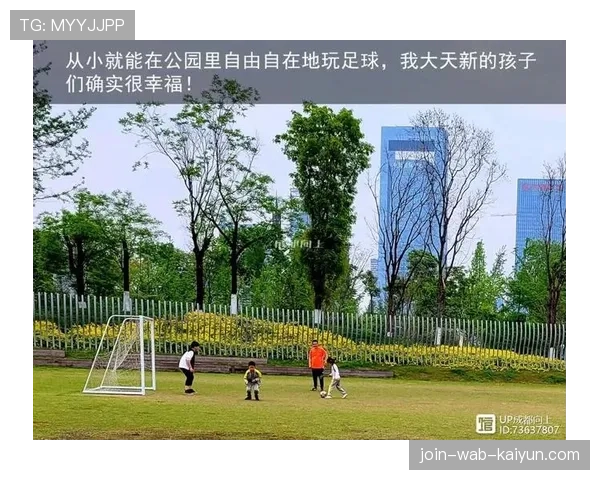 足球场馆智能运维平台安全加固与入侵检测案例,足球场运行管理
